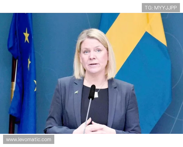 瑞典主帅安德松